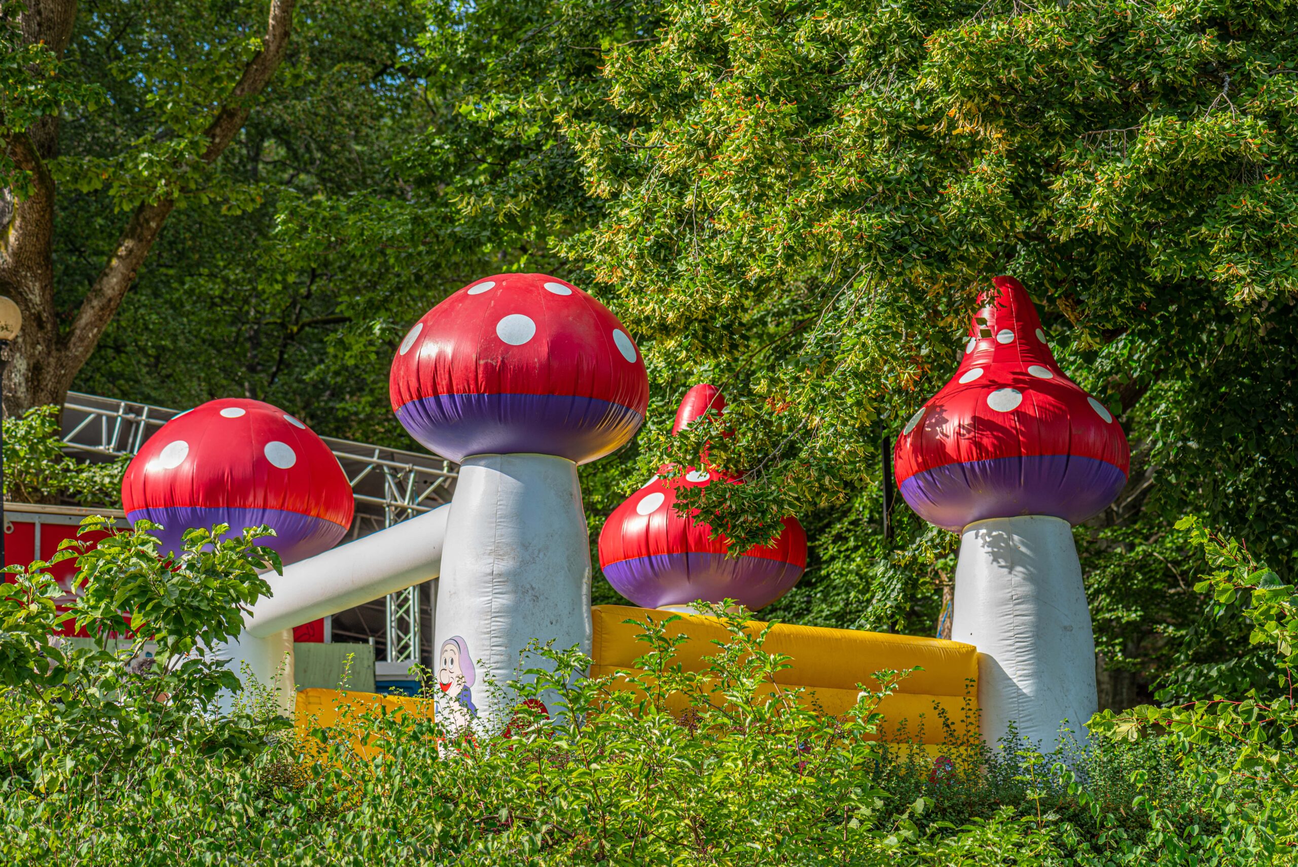 How Bounce House Businesses Can Get More Bookings Online